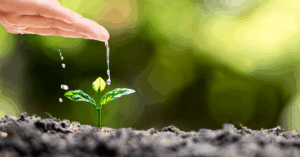 A hand watering a small sprout